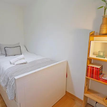 Paseo Alameda Centro Ciudad